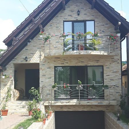 Vila Alexia Hotel Călimăneşti Eksteriør billede