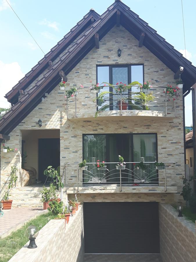 Vila Alexia Hotel Călimăneşti Eksteriør billede