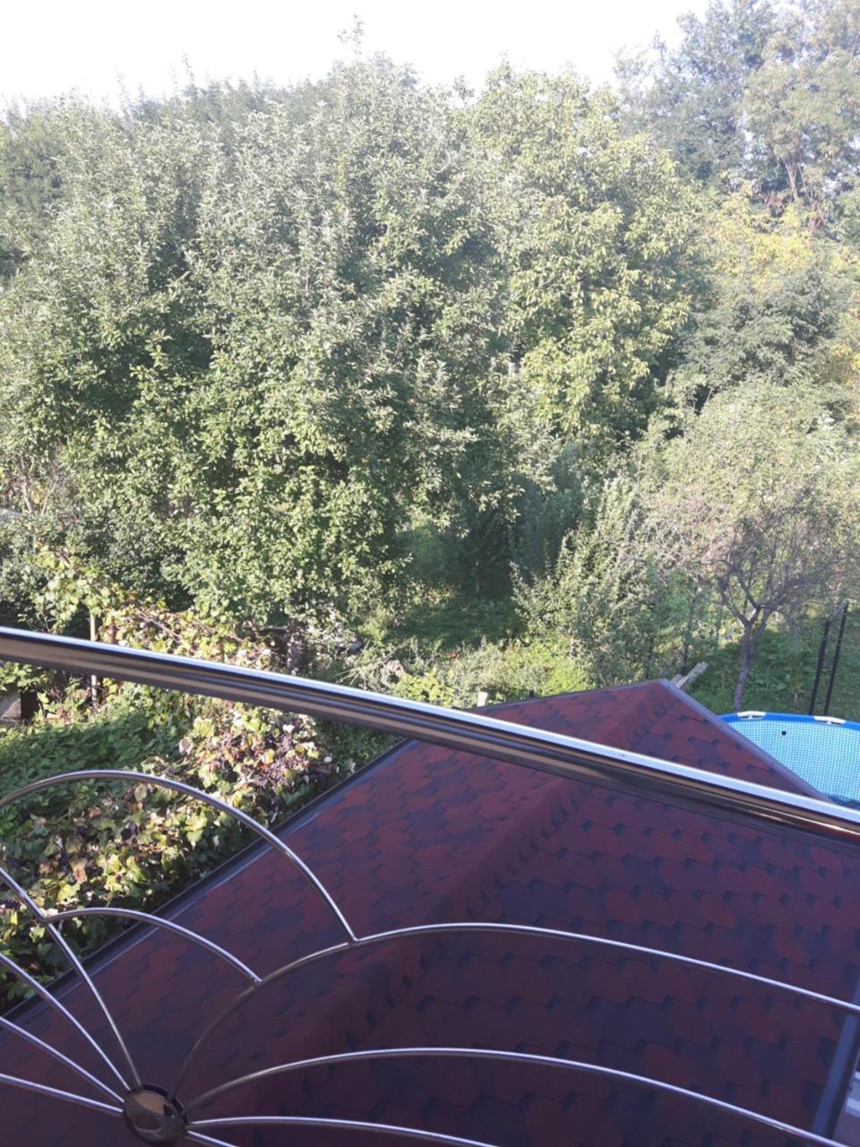 Vila Alexia Hotel Călimăneşti Eksteriør billede