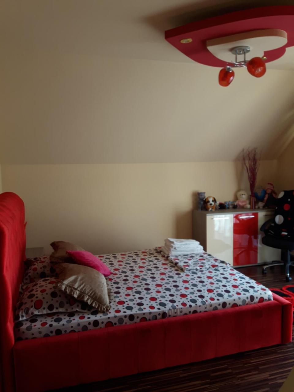 Vila Alexia Hotel Călimăneşti Eksteriør billede