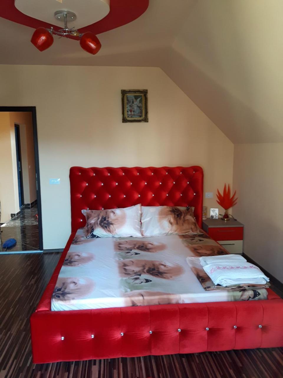 Vila Alexia Hotel Călimăneşti Eksteriør billede