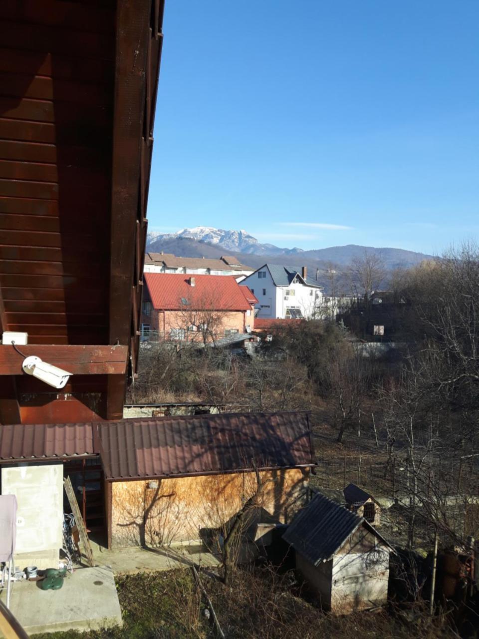 Vila Alexia Hotel Călimăneşti Eksteriør billede