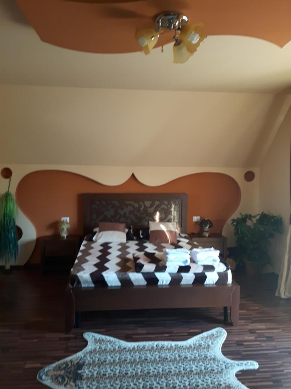 Vila Alexia Hotel Călimăneşti Eksteriør billede